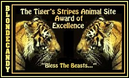 The Tiger Stripes Animal Site Award of Excellence from BlondeCandy